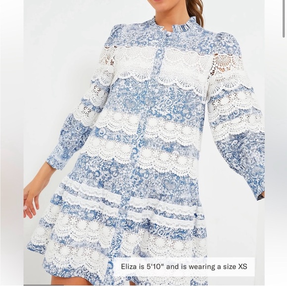 🤍HYACINTH HOUSE Lace Trim Blue Etched
Floral Emmie Mini Dress🩵 - Picture 2 of 11